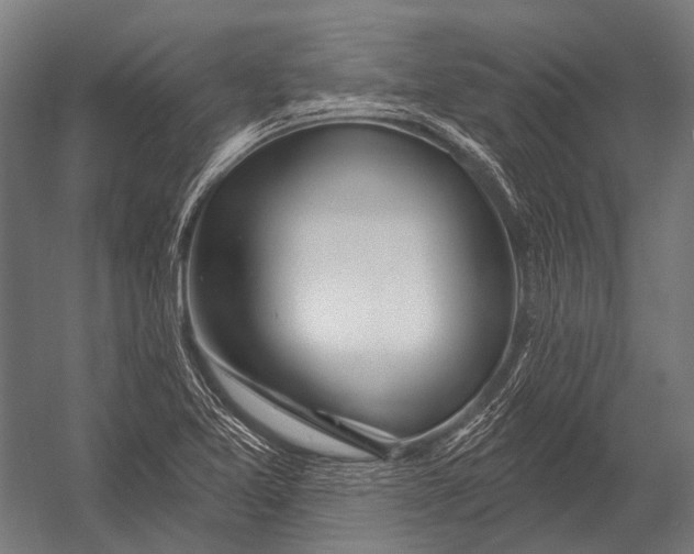 X0000052961365200507300100