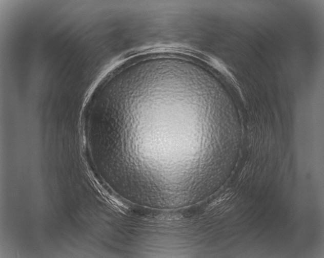 X0000052961368200507300100