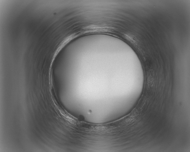 X0000052961370200507300100