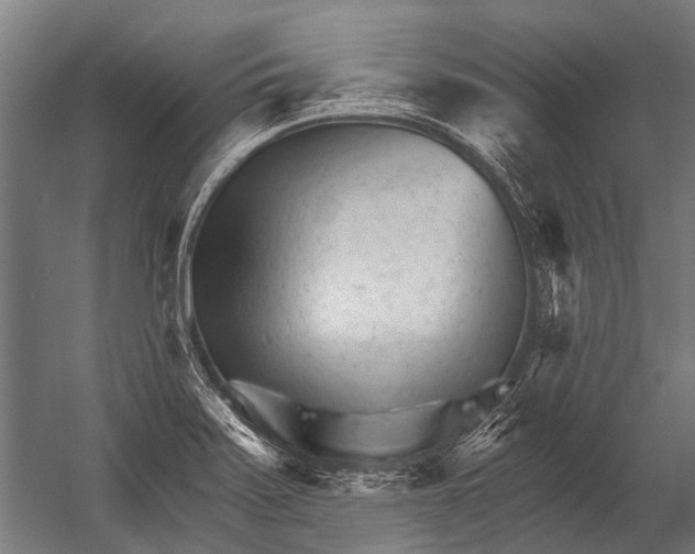 X0000052961371200507300100