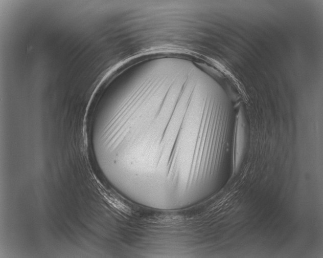 X0000052961372200507300100