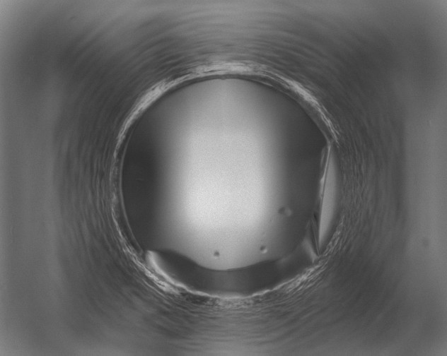 X0000052961373200507300100