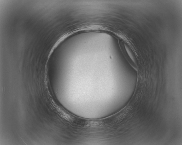 X0000052961374200507300100