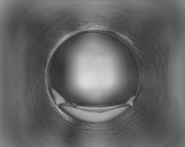 X0000052961375200507300100