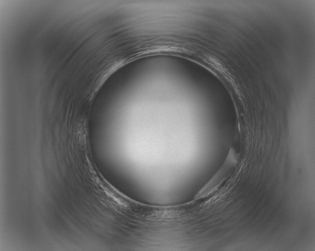 X0000052961377200507300100