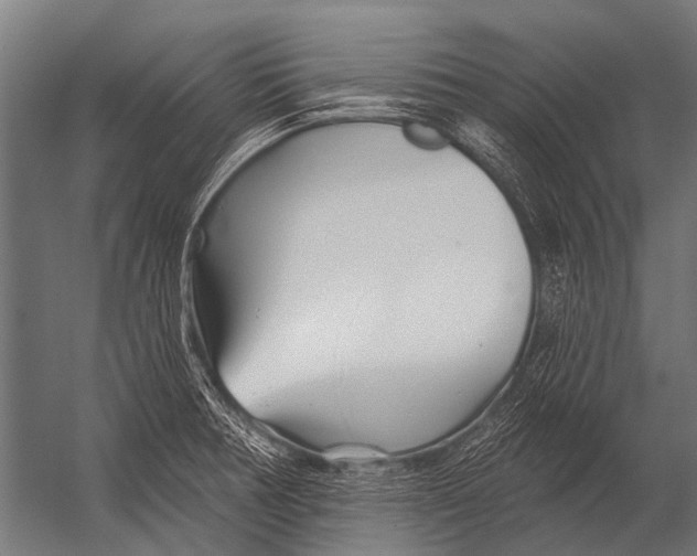 X0000052961378200507300100