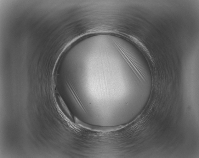 X0000052961380200507300100