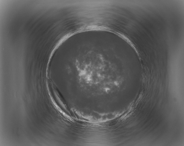 X0000052961381200507300100
