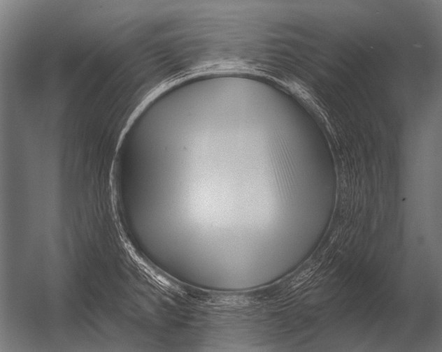 X0000052961382200507300100