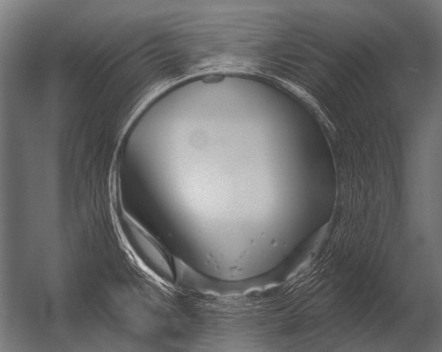 X0000052961383200507300100