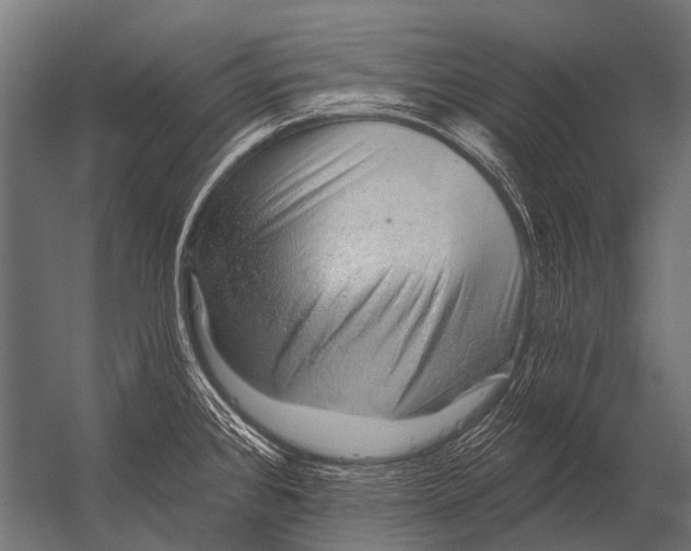 X0000052961384200507300100