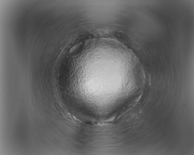 X0000052961393200507300059