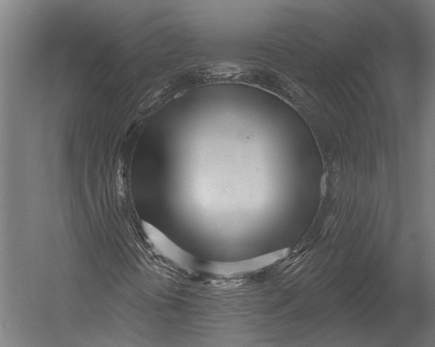 X0000052961394200507300059