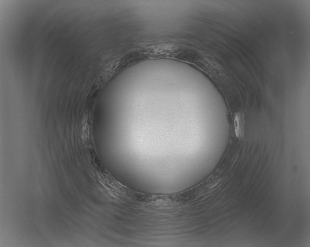 X0000052961395200507300059