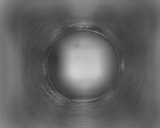 X0000052961396200507300059