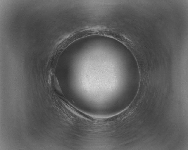 X0000052961398200507300059