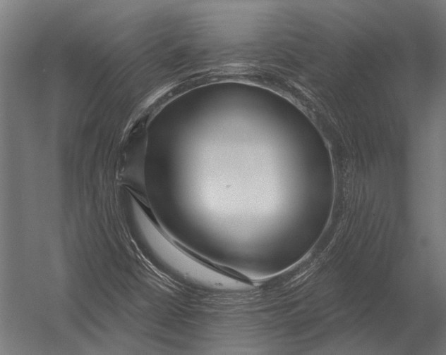 X0000052961402200507300059