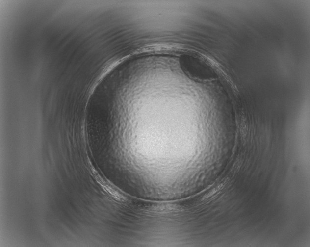 X0000052961417200507300059