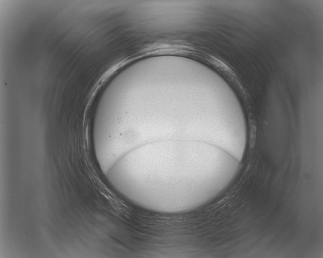X0000052961419200507300059