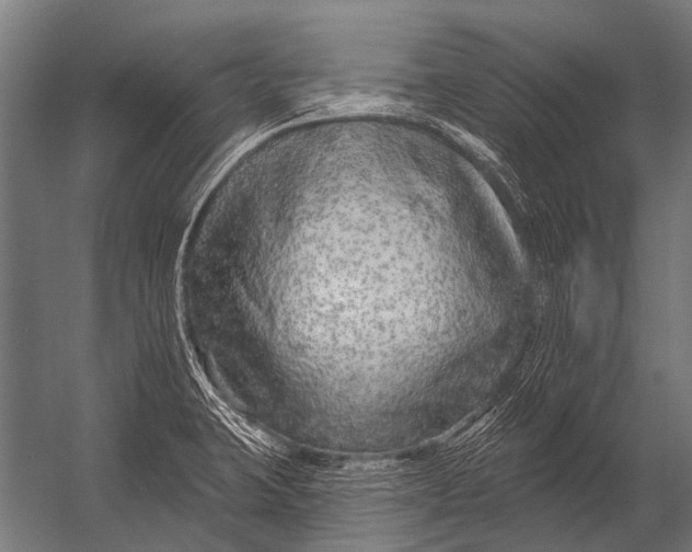 X0000052961423200507300059