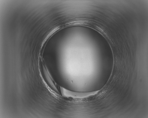 X0000052961426200507300059