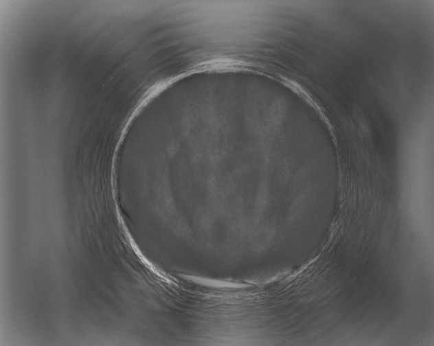 X0000052961429200507300059