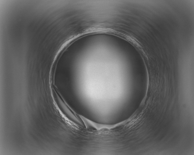 X0000052961430200507300059