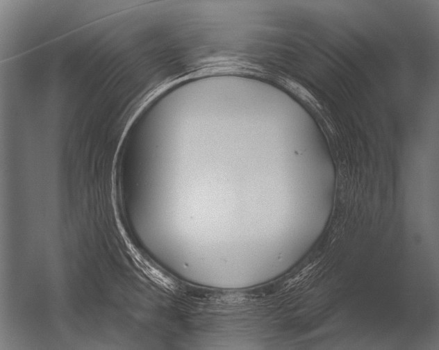 X0000052961431200507300059