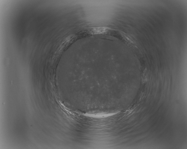X0000052961441200507300059