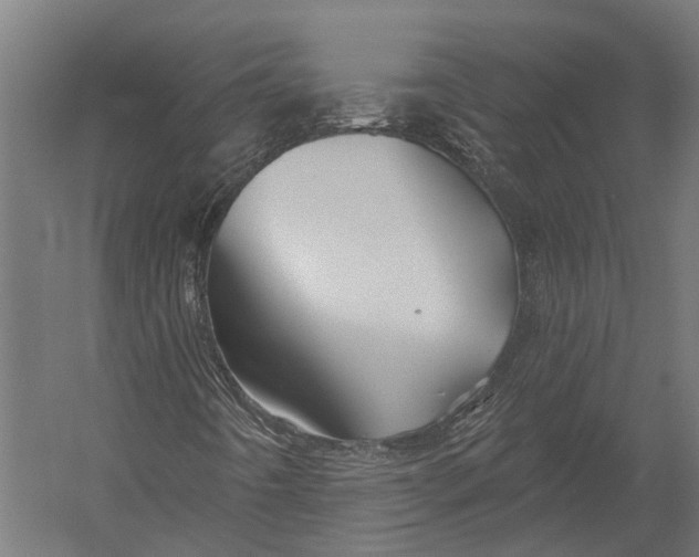 X0000052961442200507300059