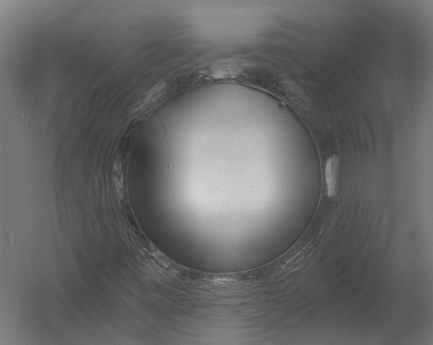 X0000052961443200507300059