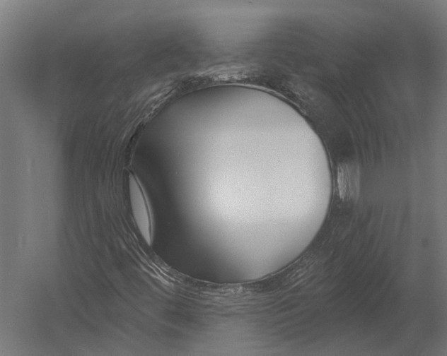 X0000052961444200507300059