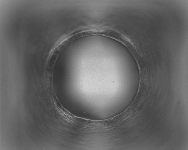 X0000052961448200507300059