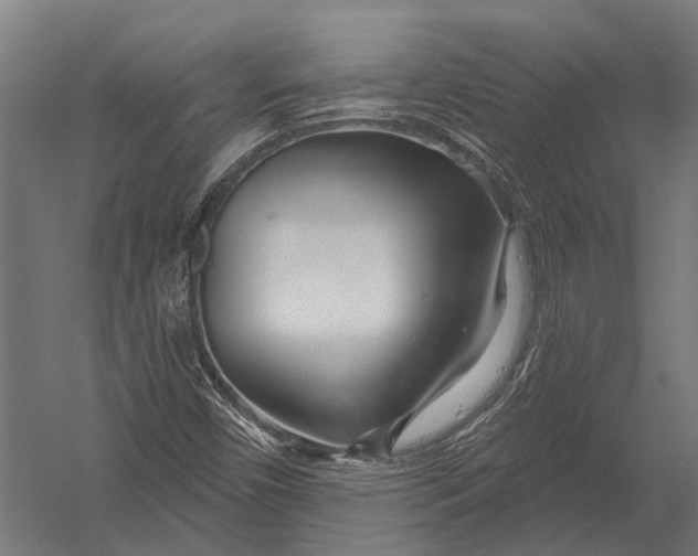X0000052961450200507300059