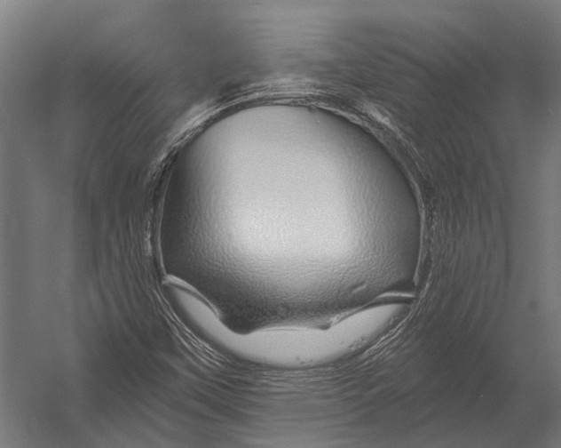 X0000052961451200507300059