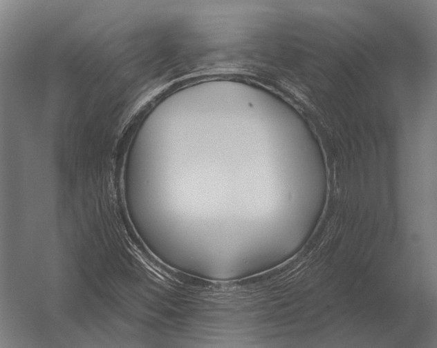 X0000052961452200507300059