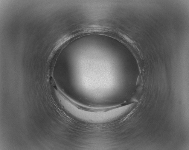X0000052961453200507300059
