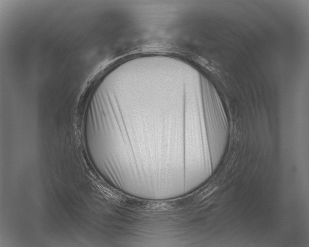 X0000052961454200507300059