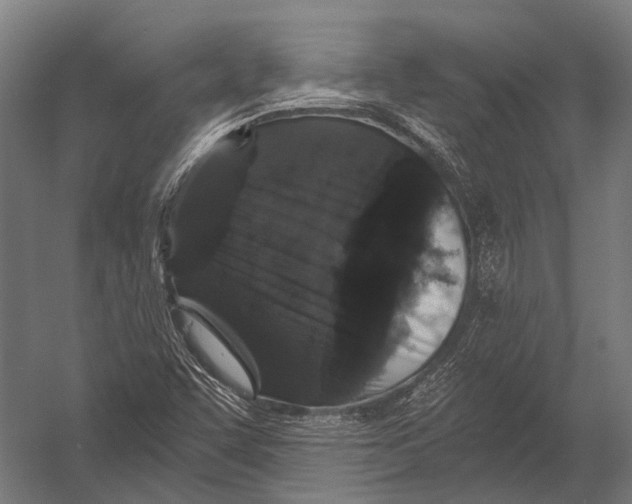 X0000052961455200507300059