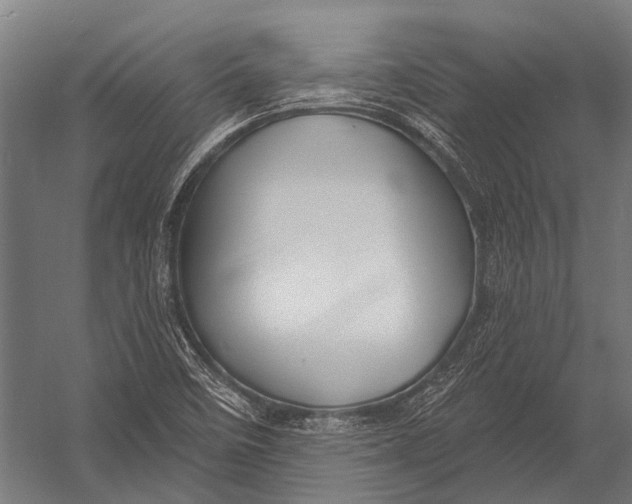 X0000052961458200507300058