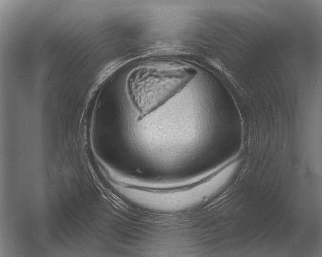 X0000052961459200507300058