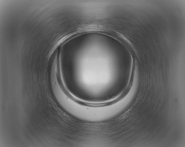 X0000052961461200507300058