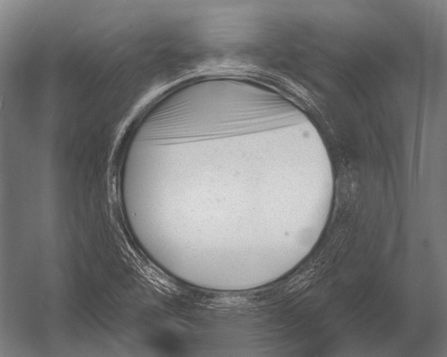 X0000052961462200507300058