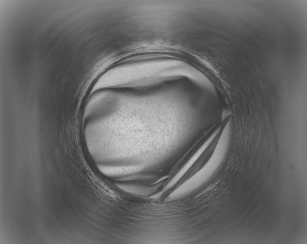 X0000052961463200507300058