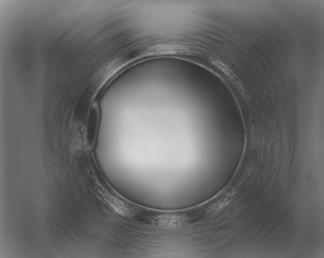 X0000052961465200507300058