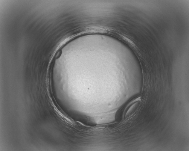 X0000052961471200507300058
