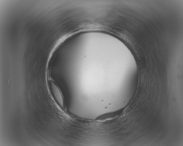 X0000052961472200507300058