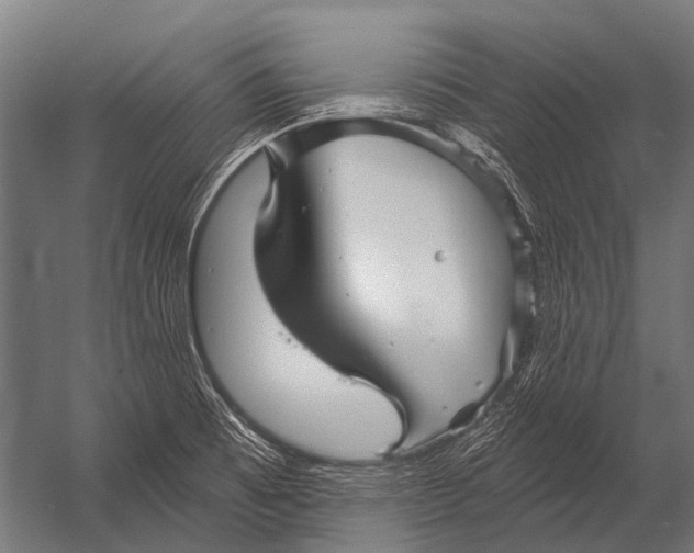 X0000052961473200507300058