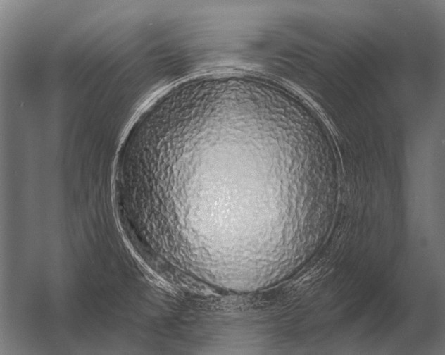 X0000052961477200507300058