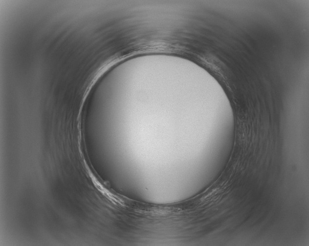 X0000052961479200507300058